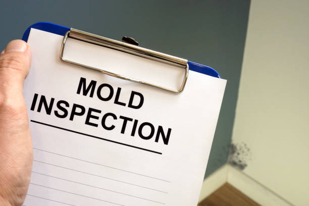 Best Biohazard Mold Removal  in Gillette, WY